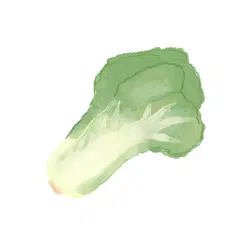 Spring Mustard Greens