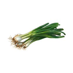 Spring Onions