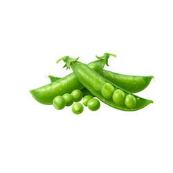 Spring Peas | Spring Vegetables Names