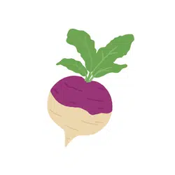 Spring Turnips