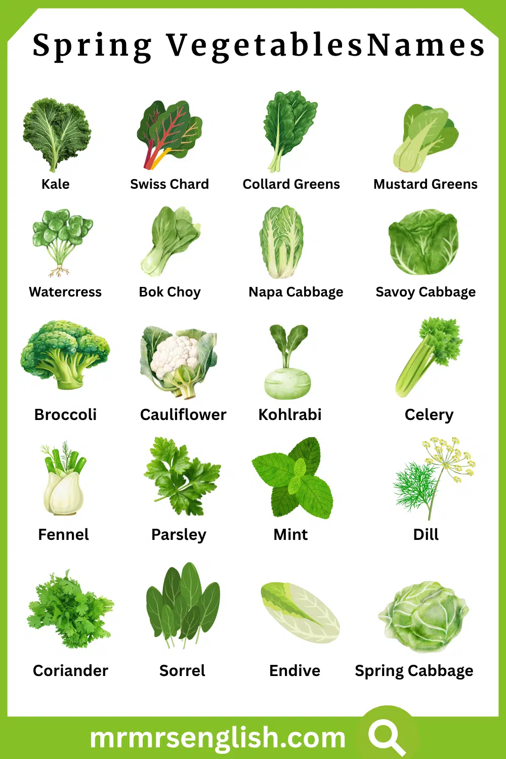 Spring Vegetables with Pictures