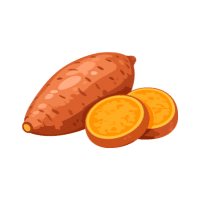 Sweet Potato | Tropical Vegetables Names