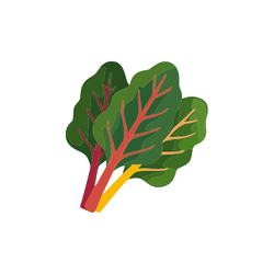 Swiss Chard | Spring Vegetables Names