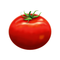 Tomato | Tropical Vegetables Names