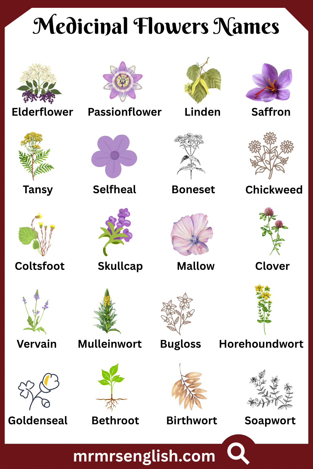 Top Medicinal Flowers Names with Pictures