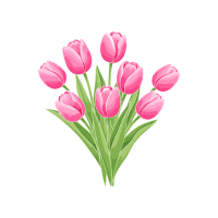 Tulip | Edible Flowers Names