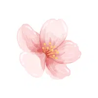 Twinflower | Forest Flowers Names
