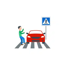 Vehicle Crossing