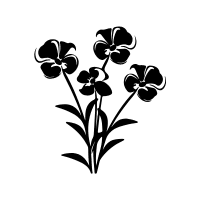 Wallflower | Mountain Flowers Names