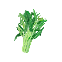 Water Spinach | Tropical Vegetables Names