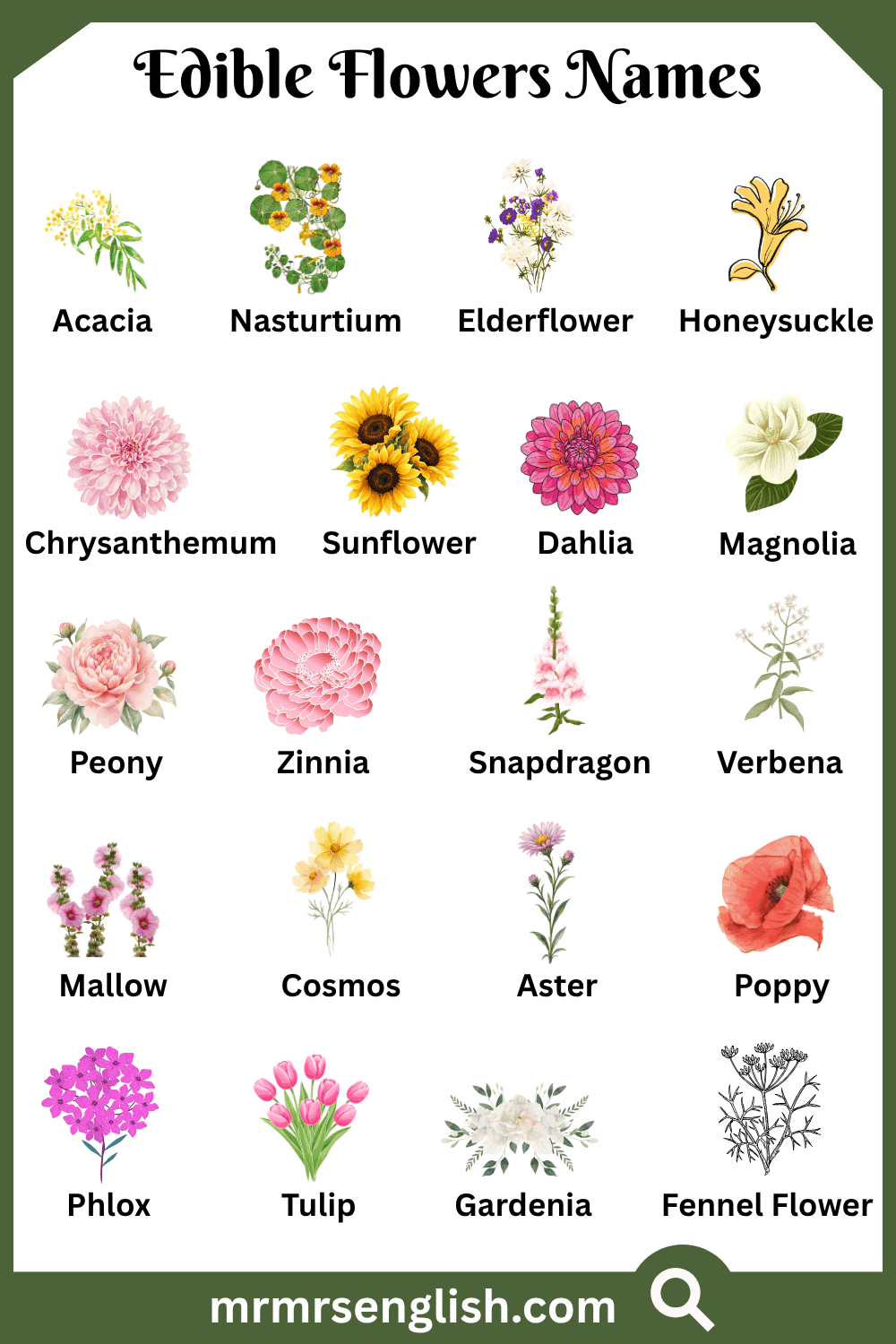 Wild Edible Flowers Names with Pictures
