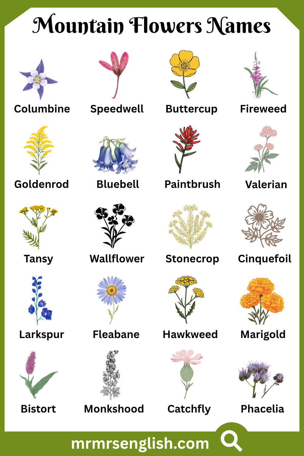 Wild Mountain Flowers Names with Pictures