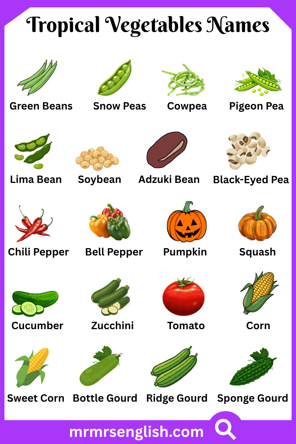 Wild Tropical Vegetables Names with Pictures