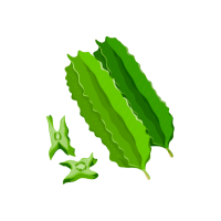 Winged Bean | Tropical Vegetables Names