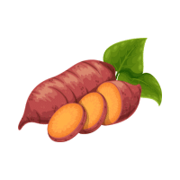 Yam | Tropical Vegetables Names