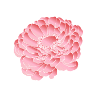 Zinnia | Edible Flowers Names
