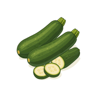 Zucchini | Tropical Vegetables Names