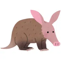 Aardvark