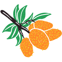 Ackee