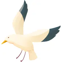 Albatross