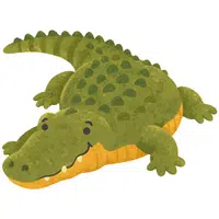 Alligator