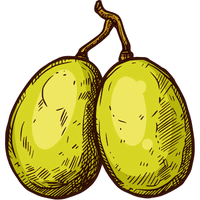 Ambarella