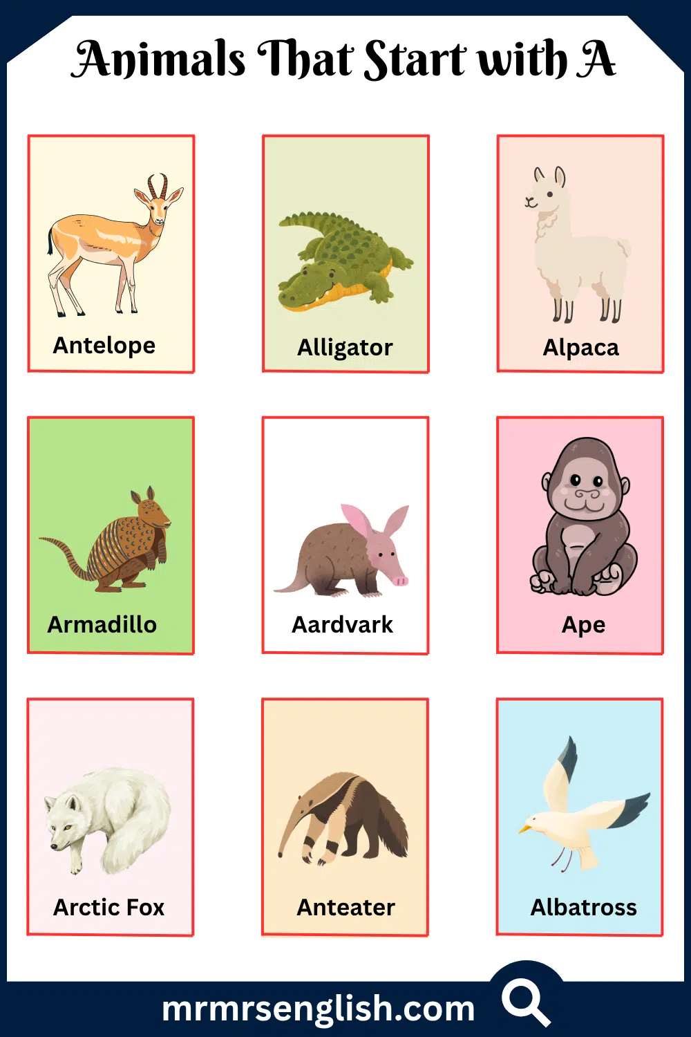 Animals That Start with A