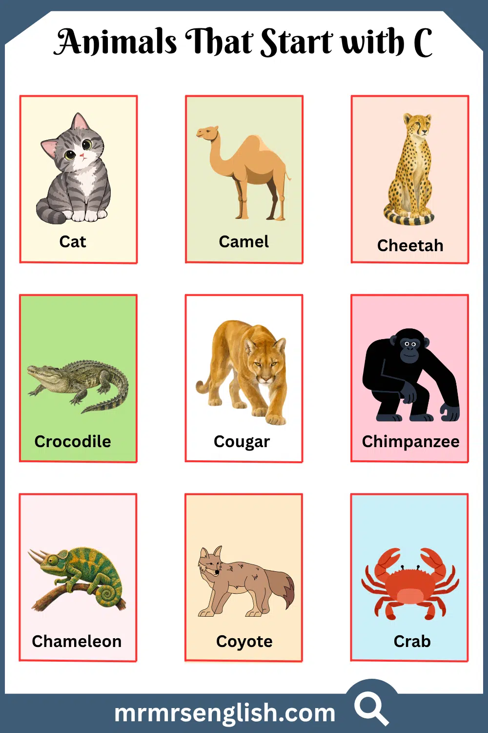 Animals That Start with C
