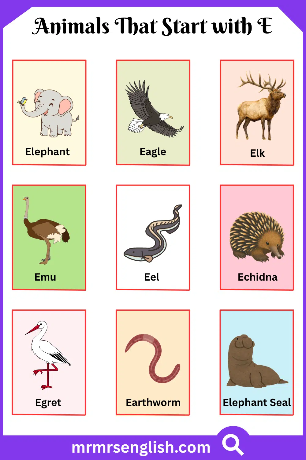 Animals That Start with E