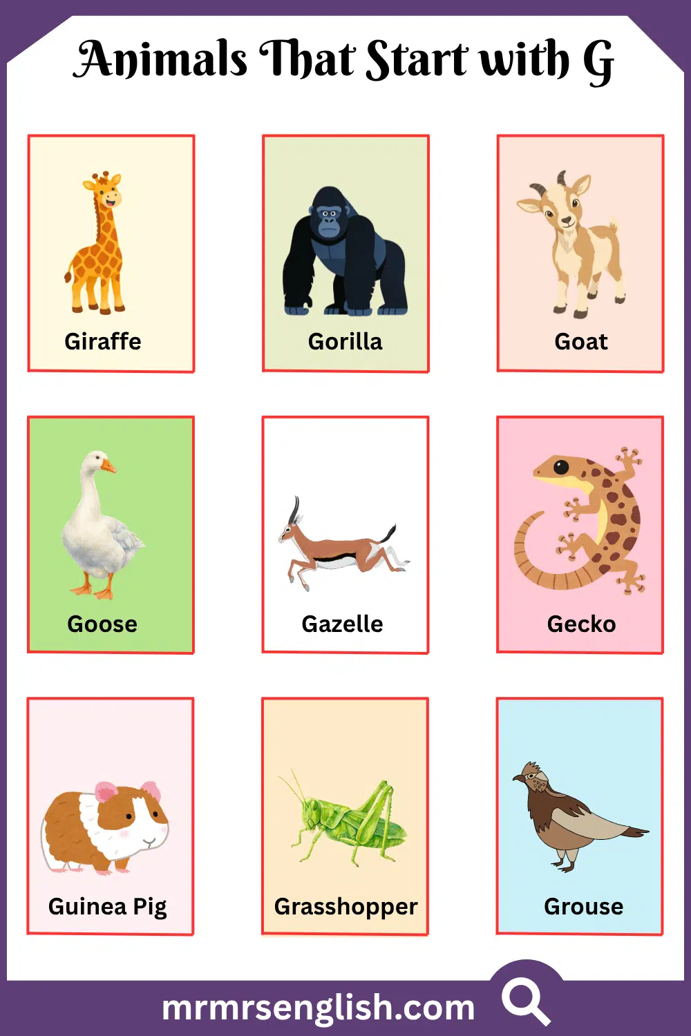 Animals That Start with G
