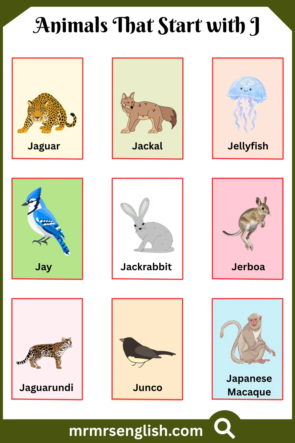 Animals That Start with J