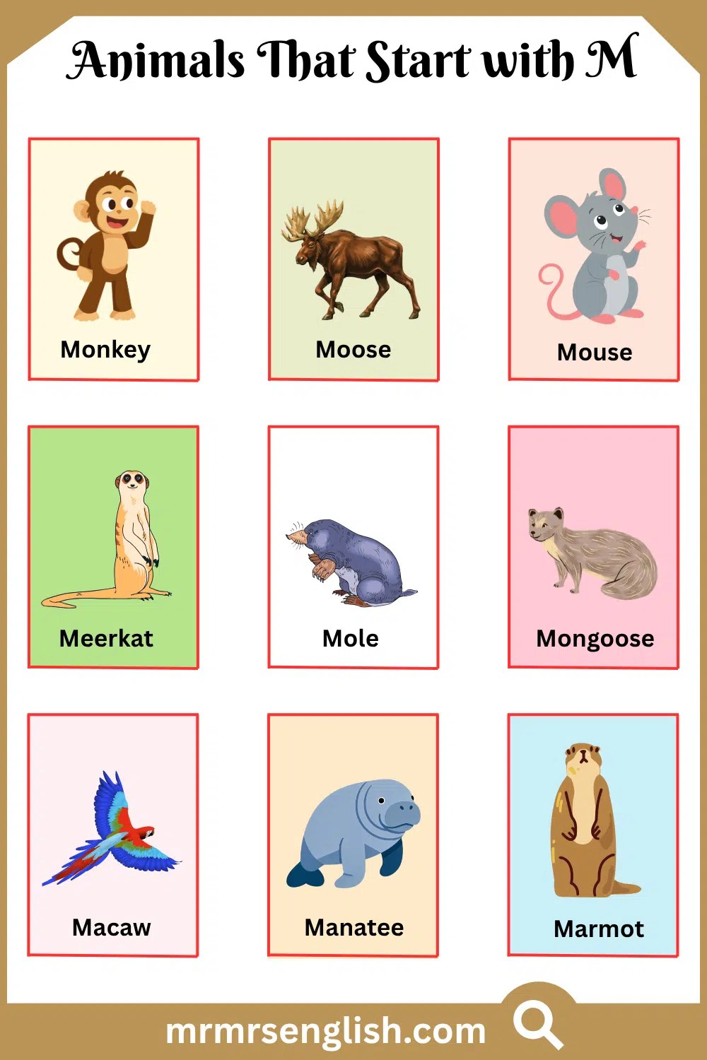 Animals That Start with M