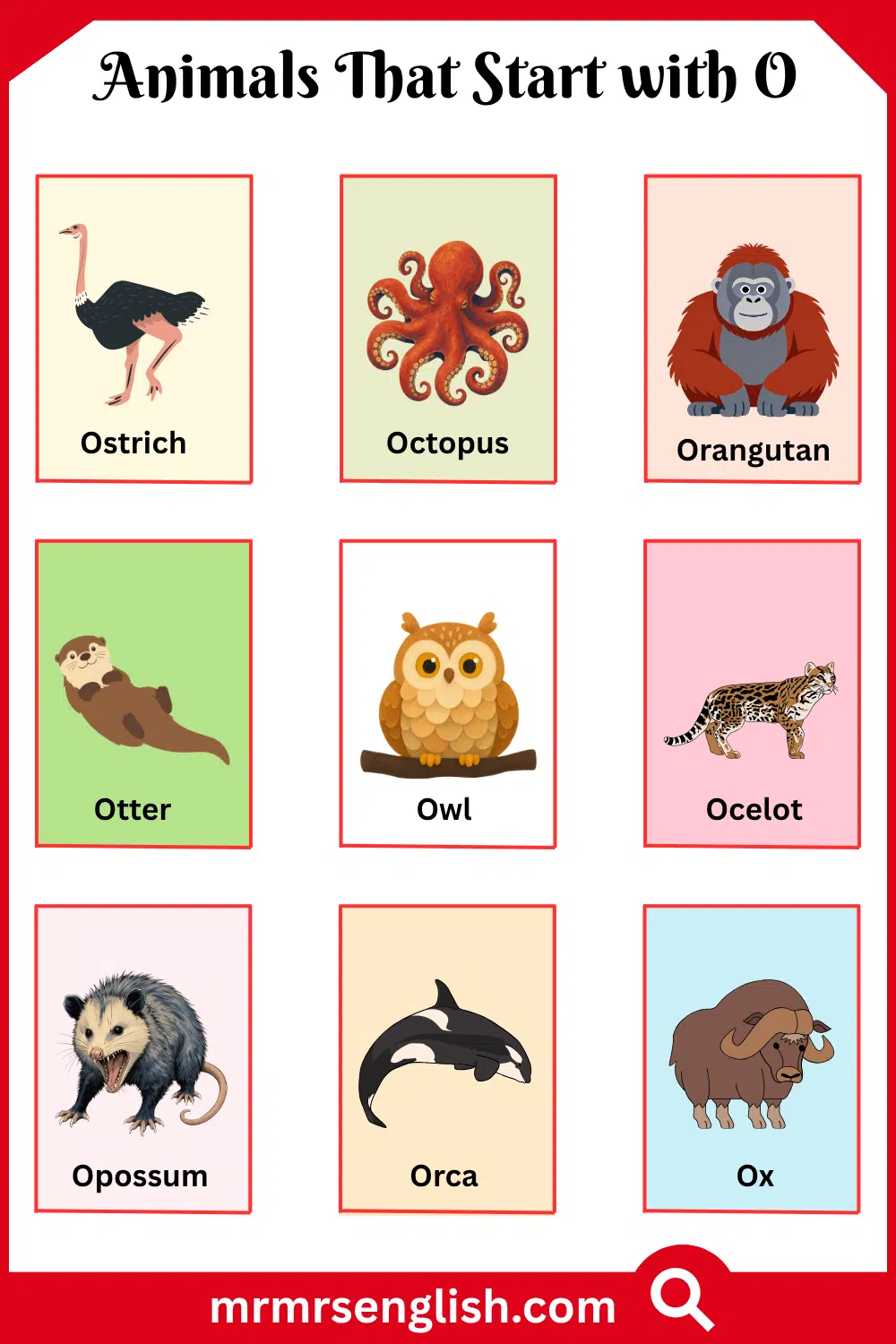 Animals That Start with O