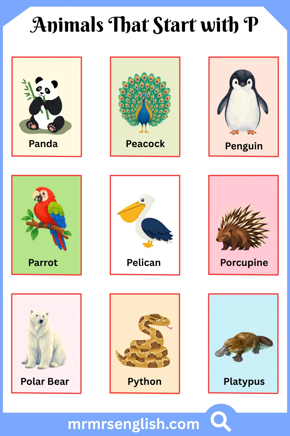 Animals That Start with P