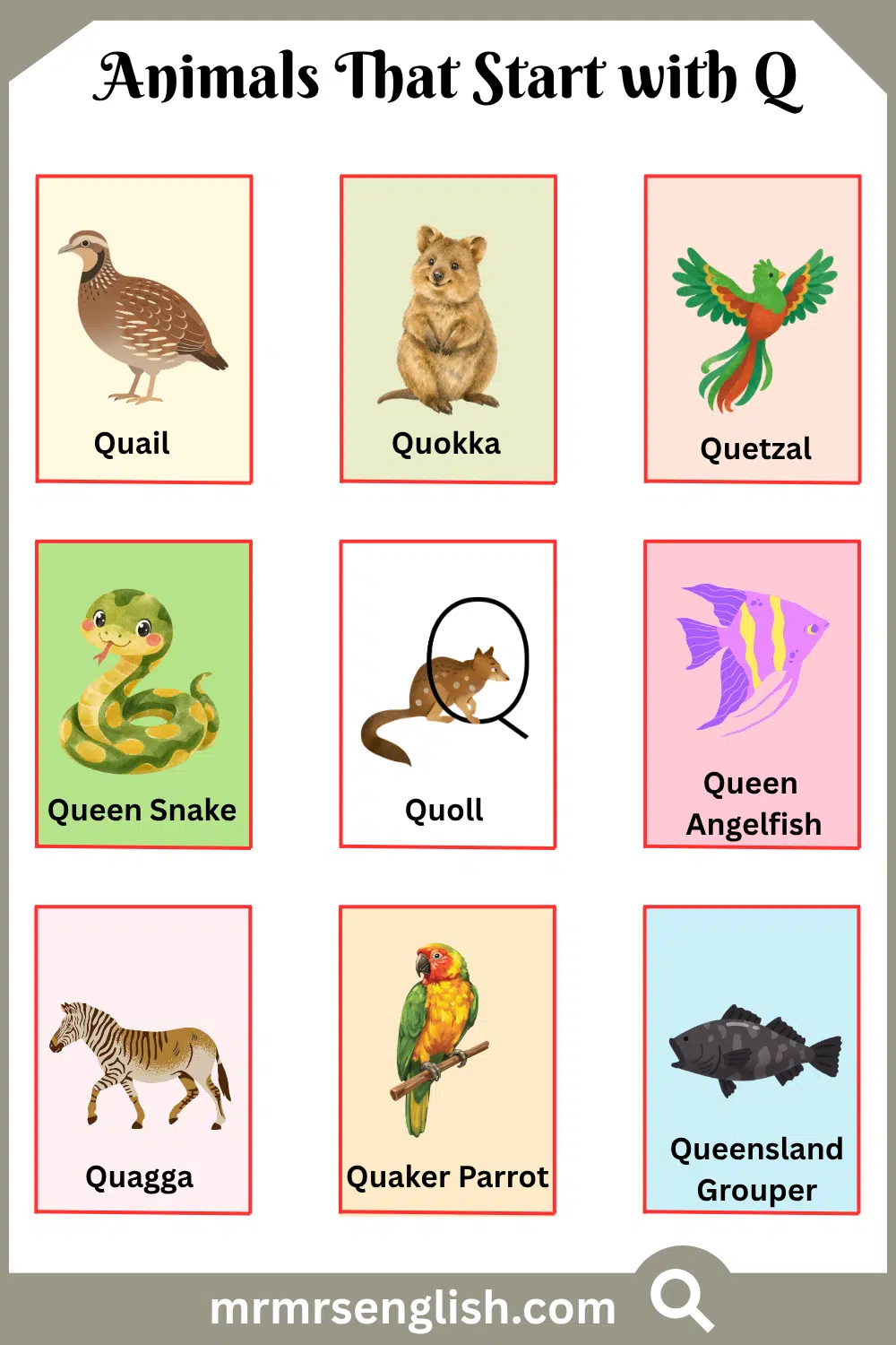 Animals That Start with Q