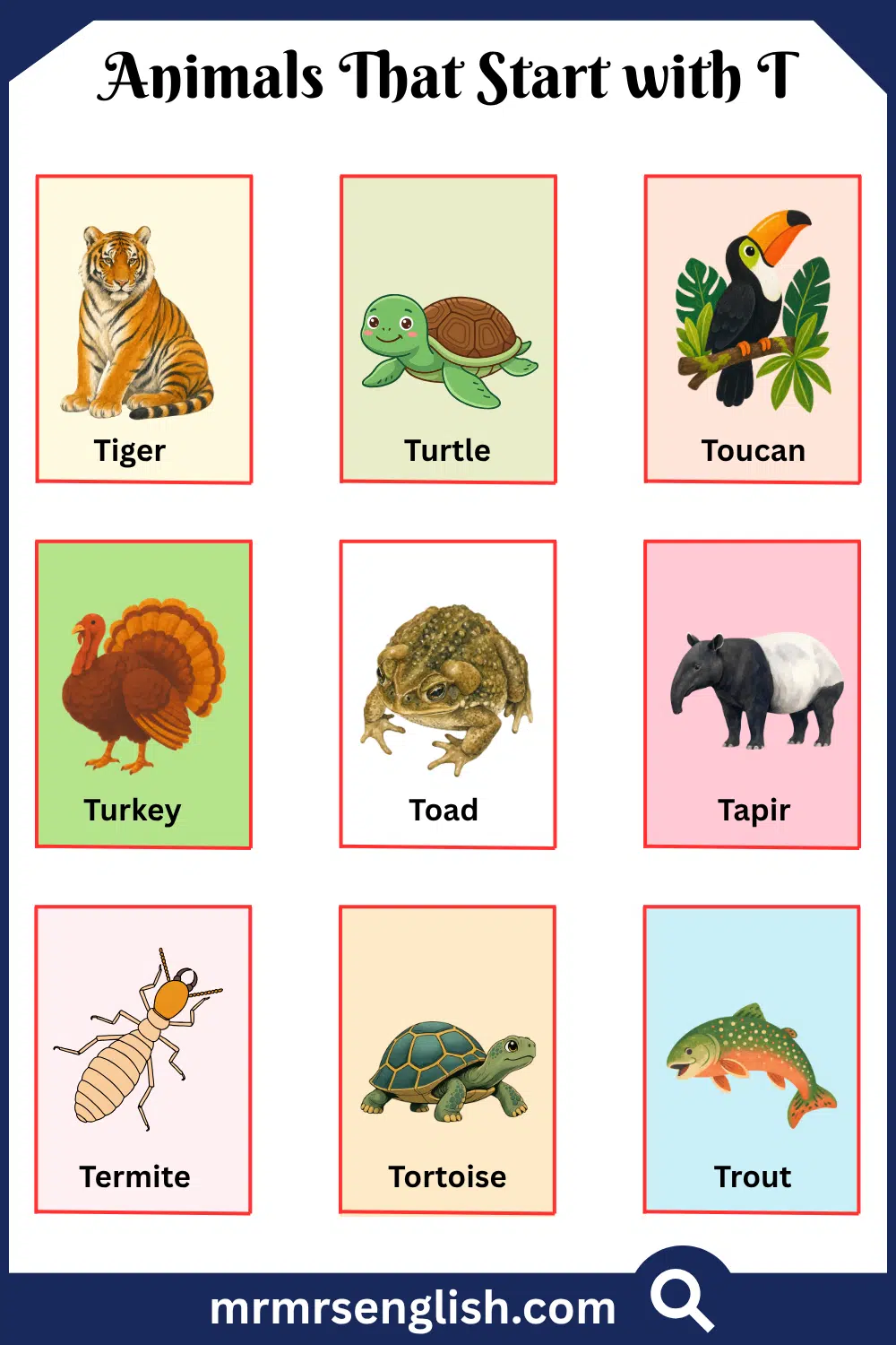 Animals That Start with T