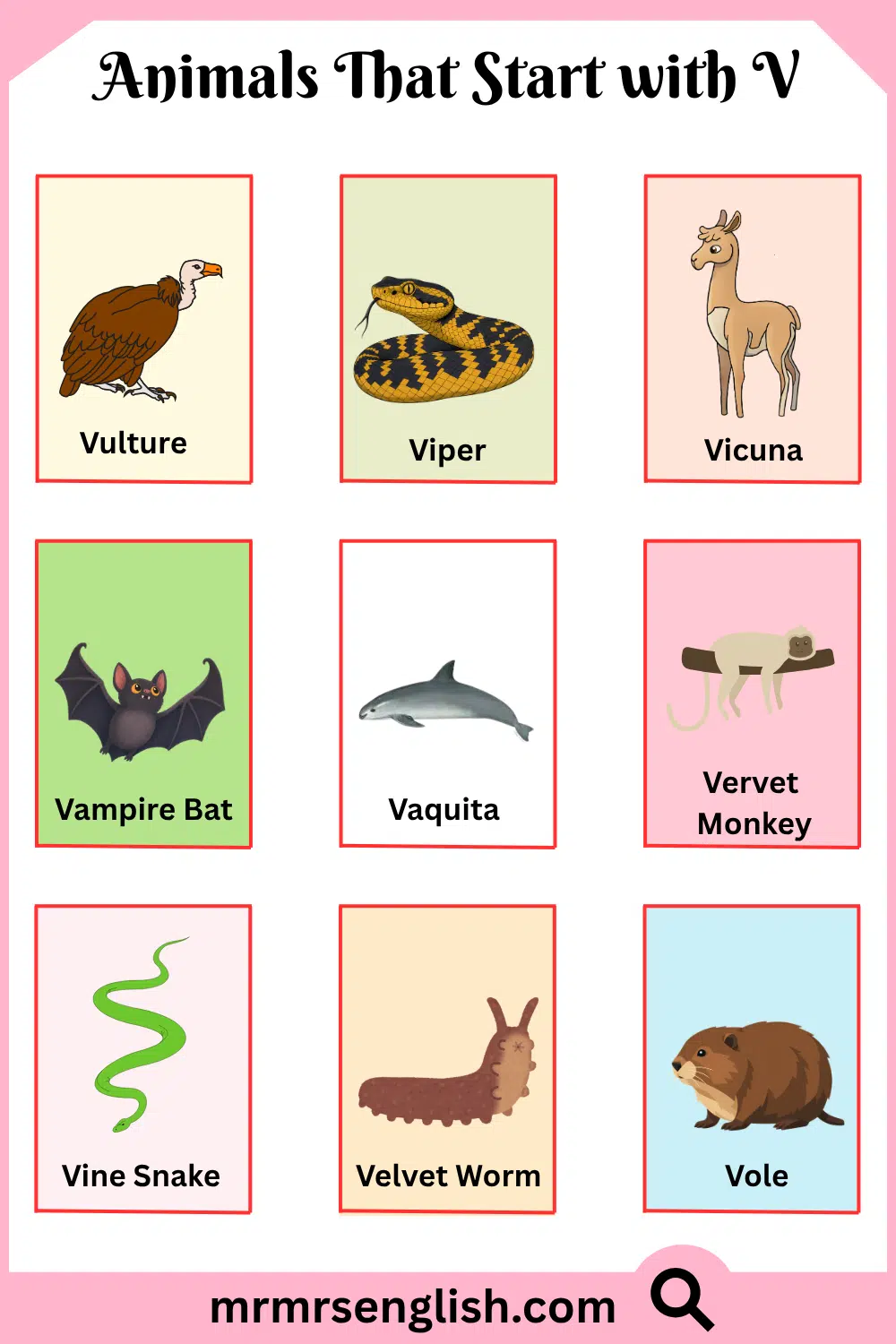 Animals That Start with V