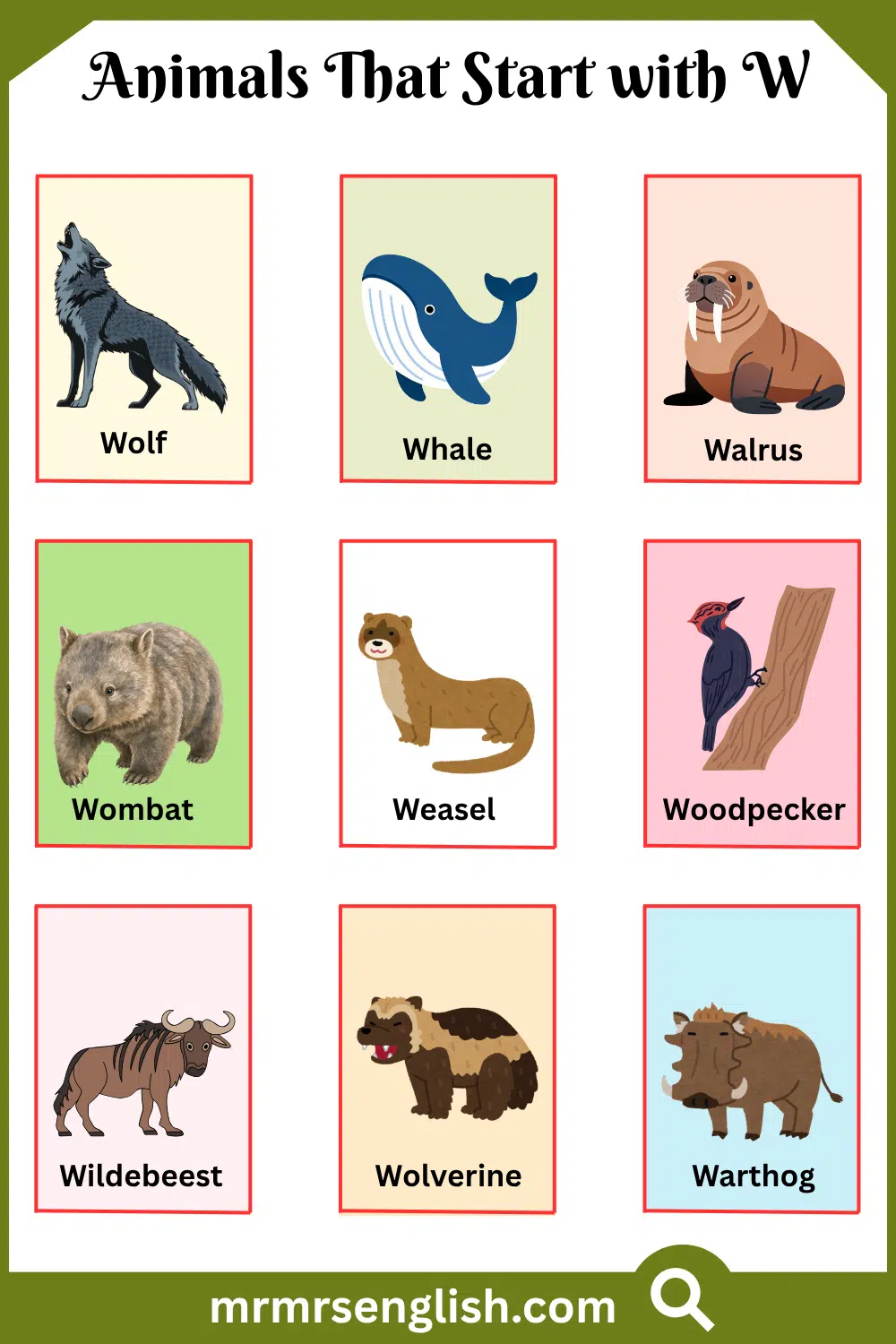 Animals That Start with W