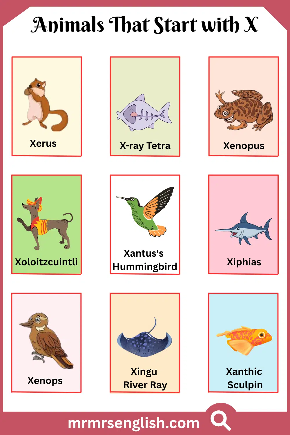 Animals That Start with X