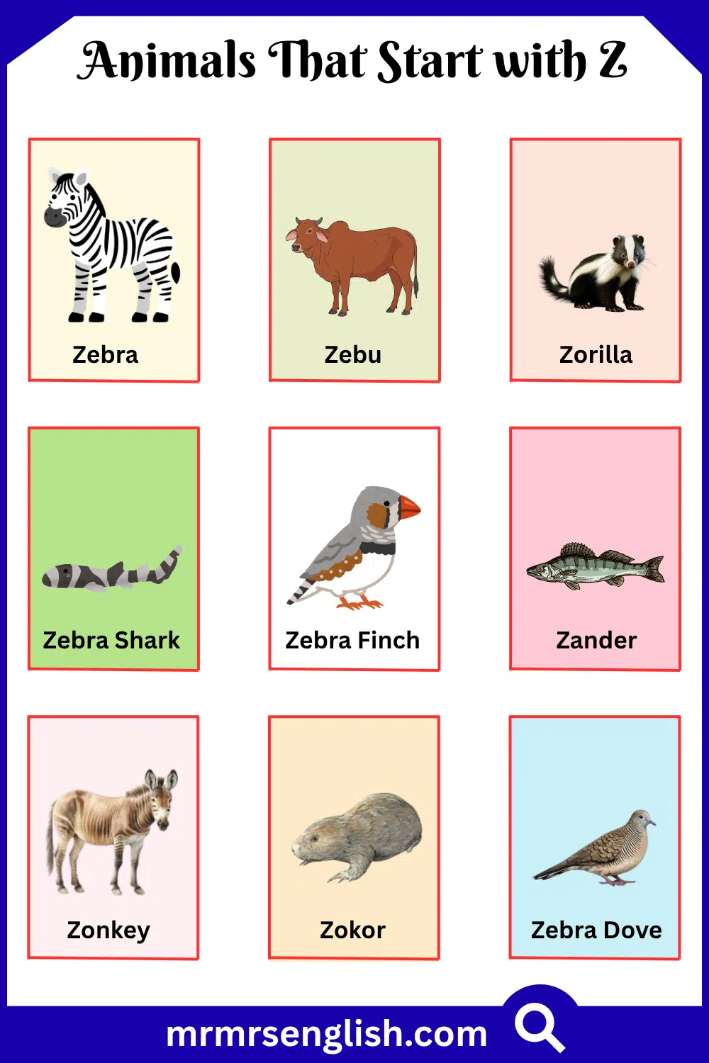 Animals That Start with Z