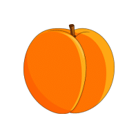 Apricot