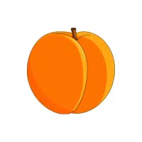 Apricot