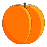 Apricot