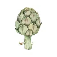 Artichoke