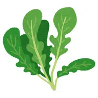 Arugula
