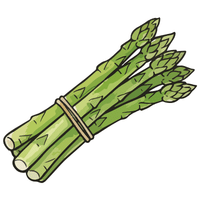 Asparagus