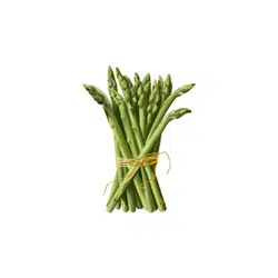Asparagus | Temperate Vegetables Names in English