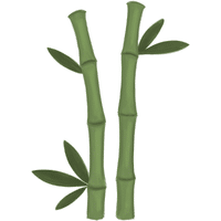 Bamboo Shoots