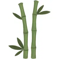 Bamboo Shoots