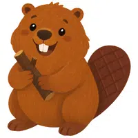 Beaver